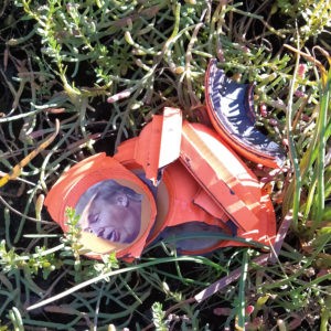 Neil_Manchon_Political_Pigeons_Trump (10)