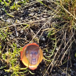 Neil_Manchon_Political_Pigeons_Trump (11)