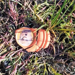 Neil_Manchon_Political_Pigeons_Trump (13)