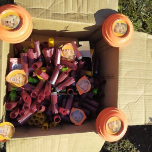 Neil_Manchon_Political_Pigeons_Trump (15)