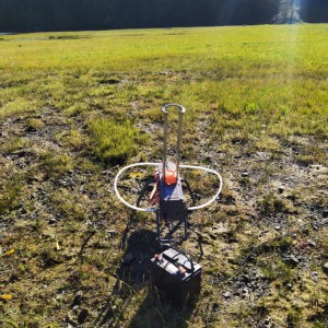 Neil_Manchon_Political_Pigeons_Trump (2)