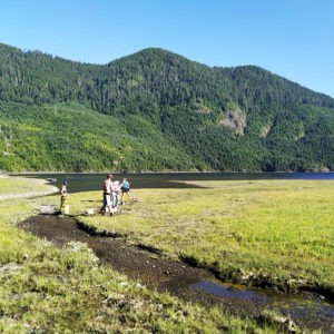 Neil_Manchon_Political_Pigeons_Trump (3)