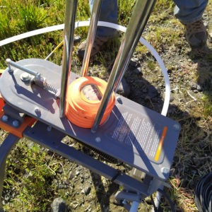 Neil_Manchon_Political_Pigeons_Trump (6)