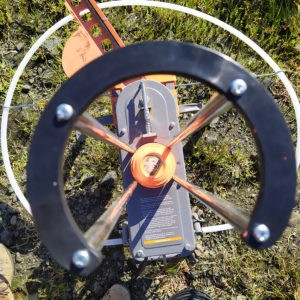 Neil_Manchon_Political_Pigeons_Trump (7)